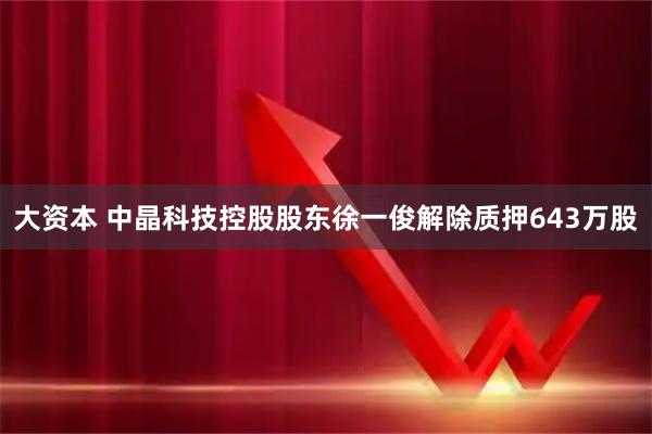 大资本 中晶科技控股股东徐一俊解除质押643万股