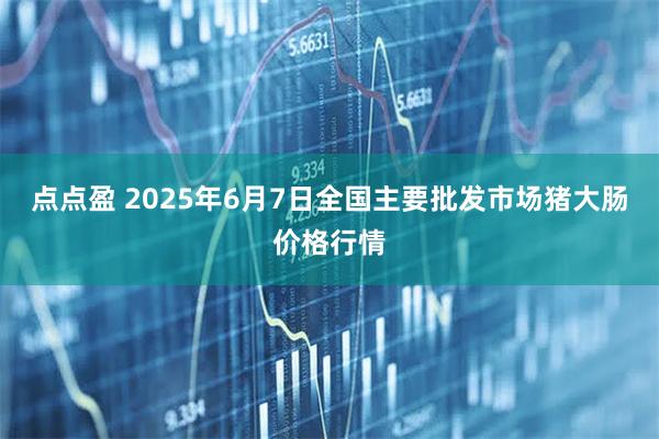 点点盈 2025年6月7日全国主要批发市场猪大肠价格行情