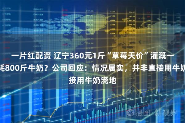 一片红配资 辽宁360元1斤“草莓天价”灌溉一次消耗800斤牛奶？公司回应：情况属实，并非直接用牛奶浇地